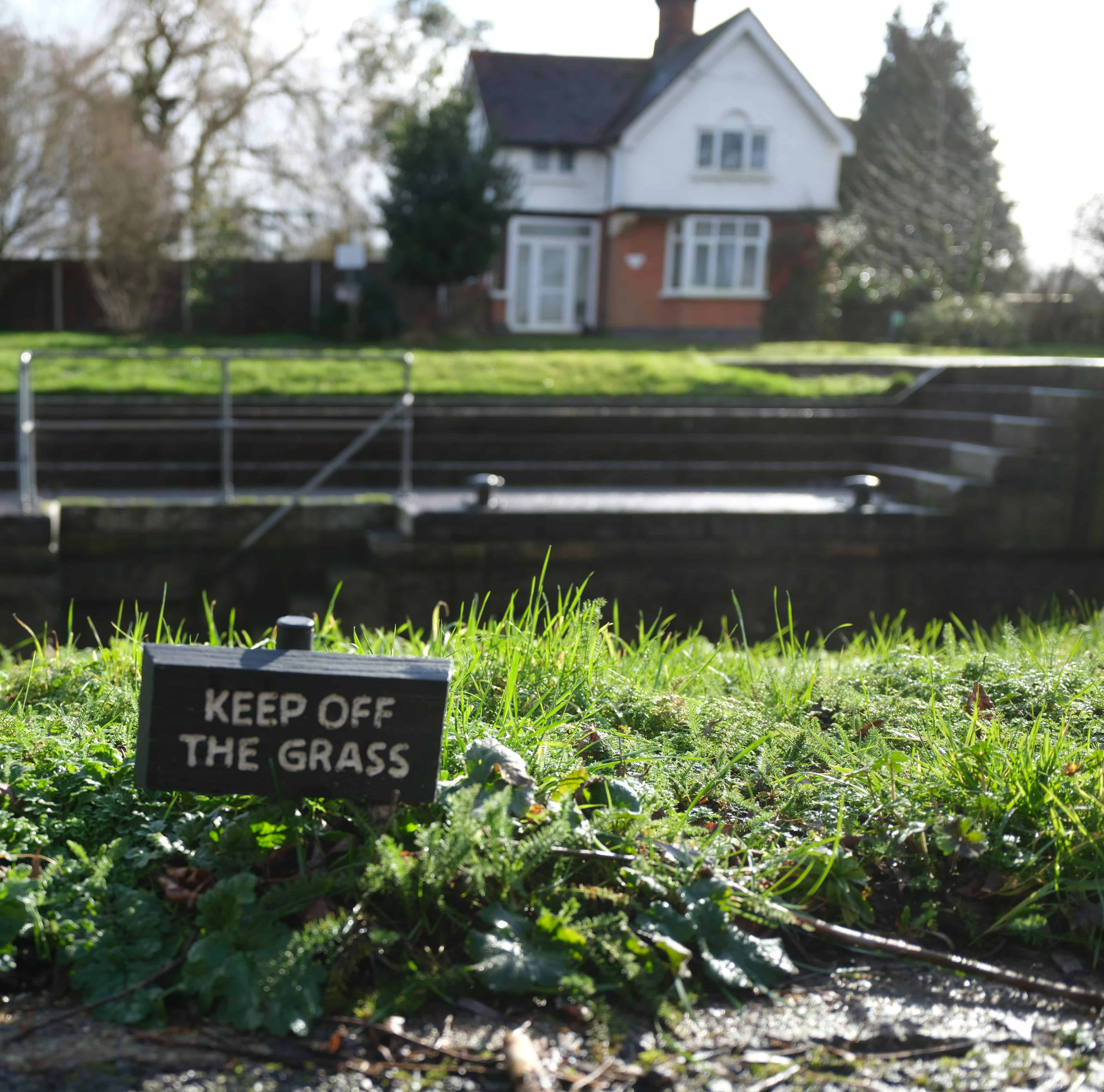 Residential Plots